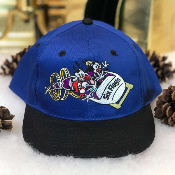 Vintage Deadstock NWOT 1997 Animaniacs Six Flags *YOUTH* Twill Snapback Hat