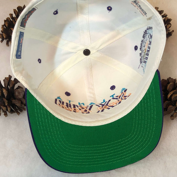 Vintage NFL Super Bowl XXVIII Atlanta Georgia Dome Sports Specialties Twill Snapback Hat