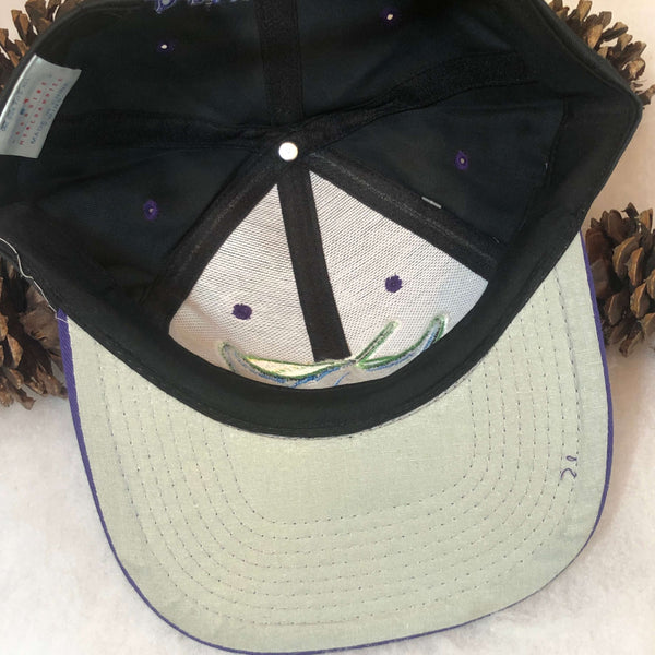 Vintage Deadstock NWT MLB Tampa Bay Devil Rays Twins Enterprise Twill Snapback Hat