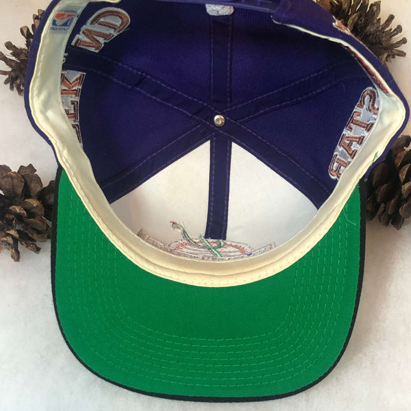 Vintage 1995 NBA All-Star Weekend Phoenix Sports Specialties Sidewave Wool Snapback Hat