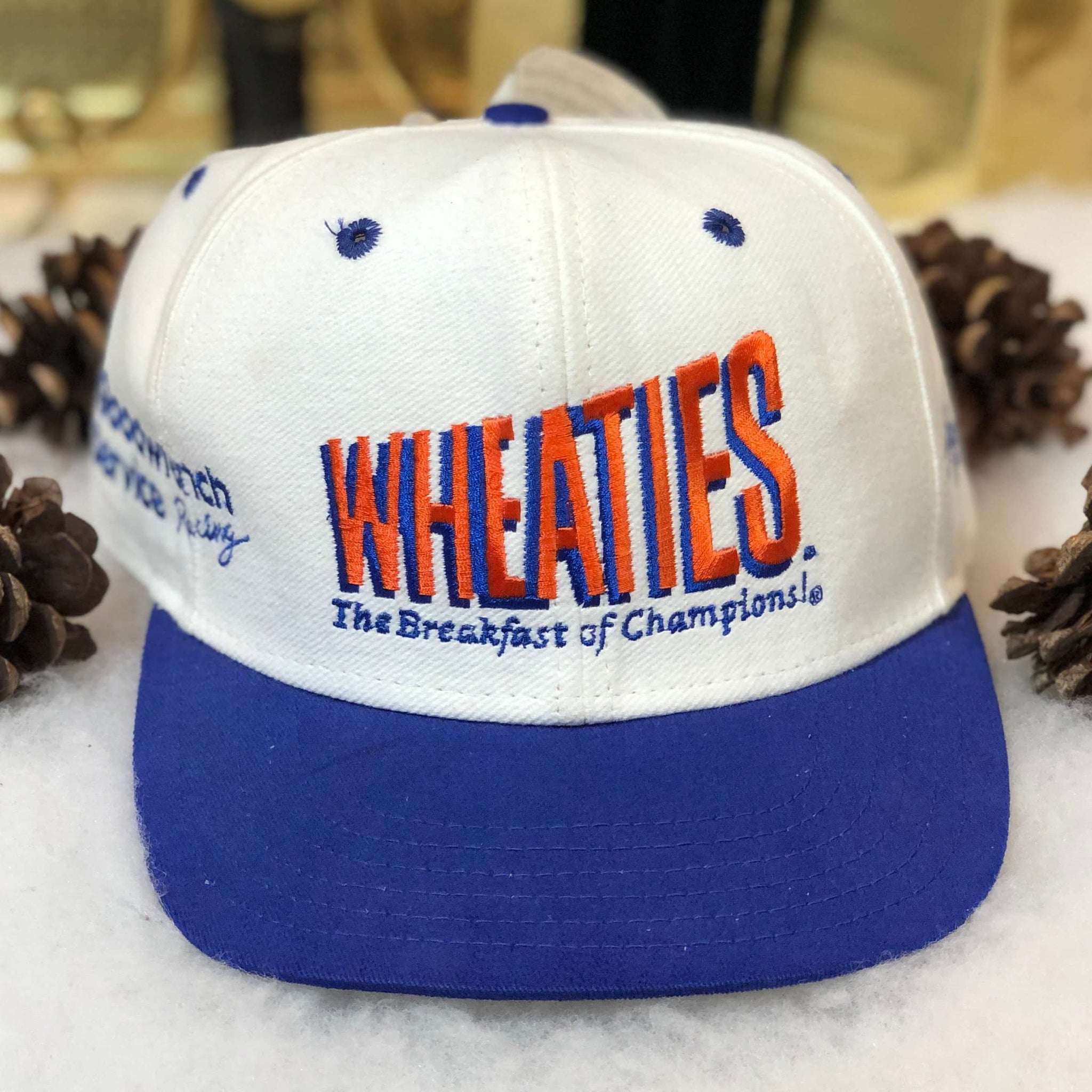 Vintage NASCAR Wheaties Dale Earnhardt Goodwrench Racing Snapback Hat