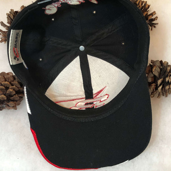 Vintage NASCAR Dale Earnhardt Goodwrench Racing Snapback Hat