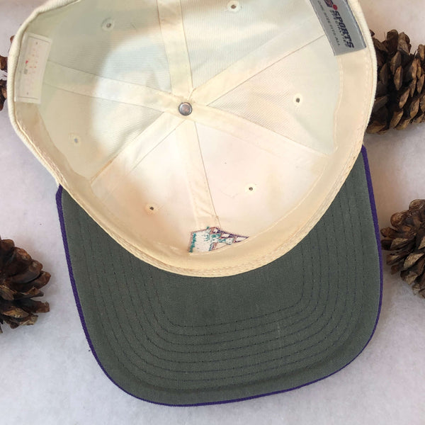 Vintage MLB Arizona Diamondbacks Sports Specialties Snapback Hat