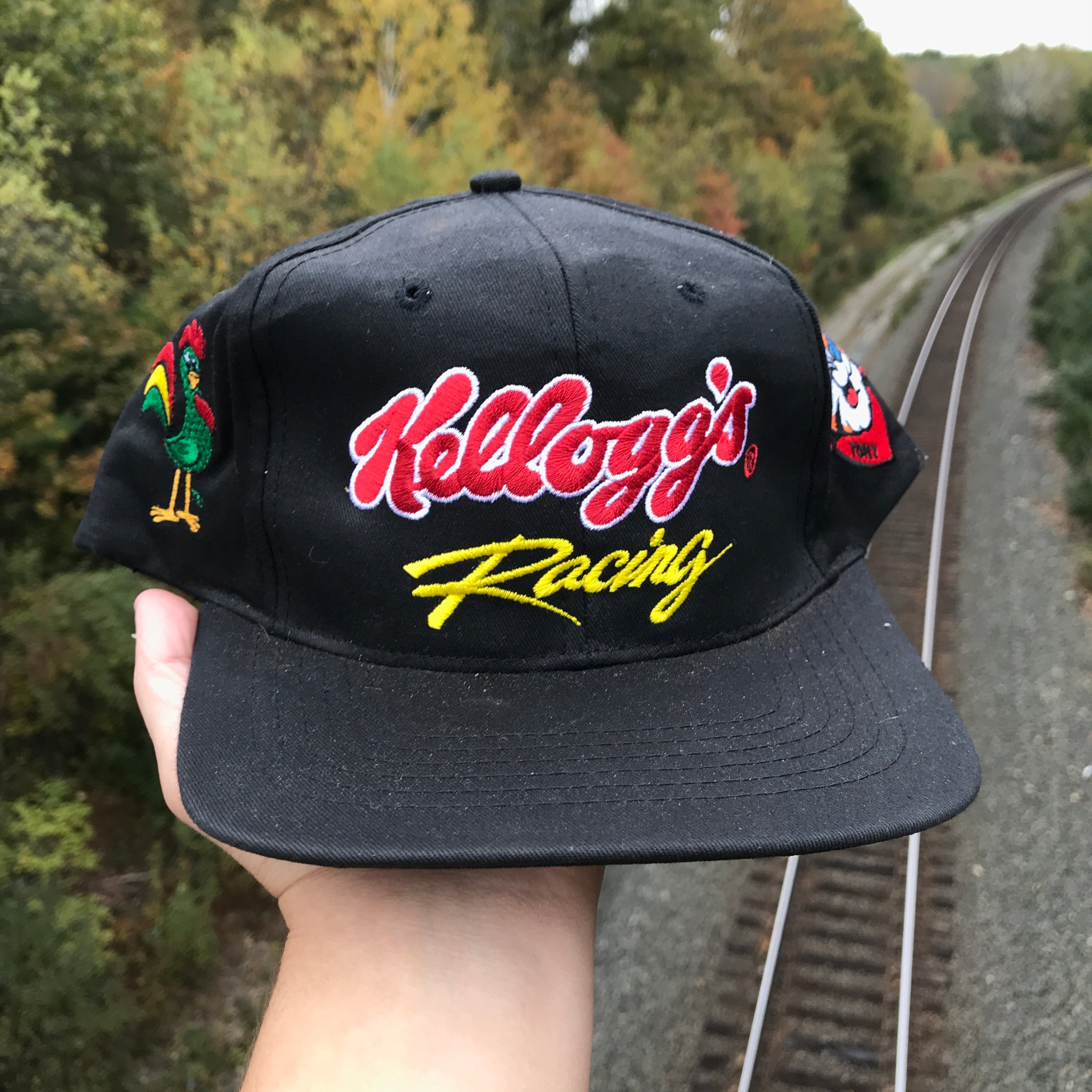Vintage 1995 NASCAR Kellogg's Racing Snapback Hat
