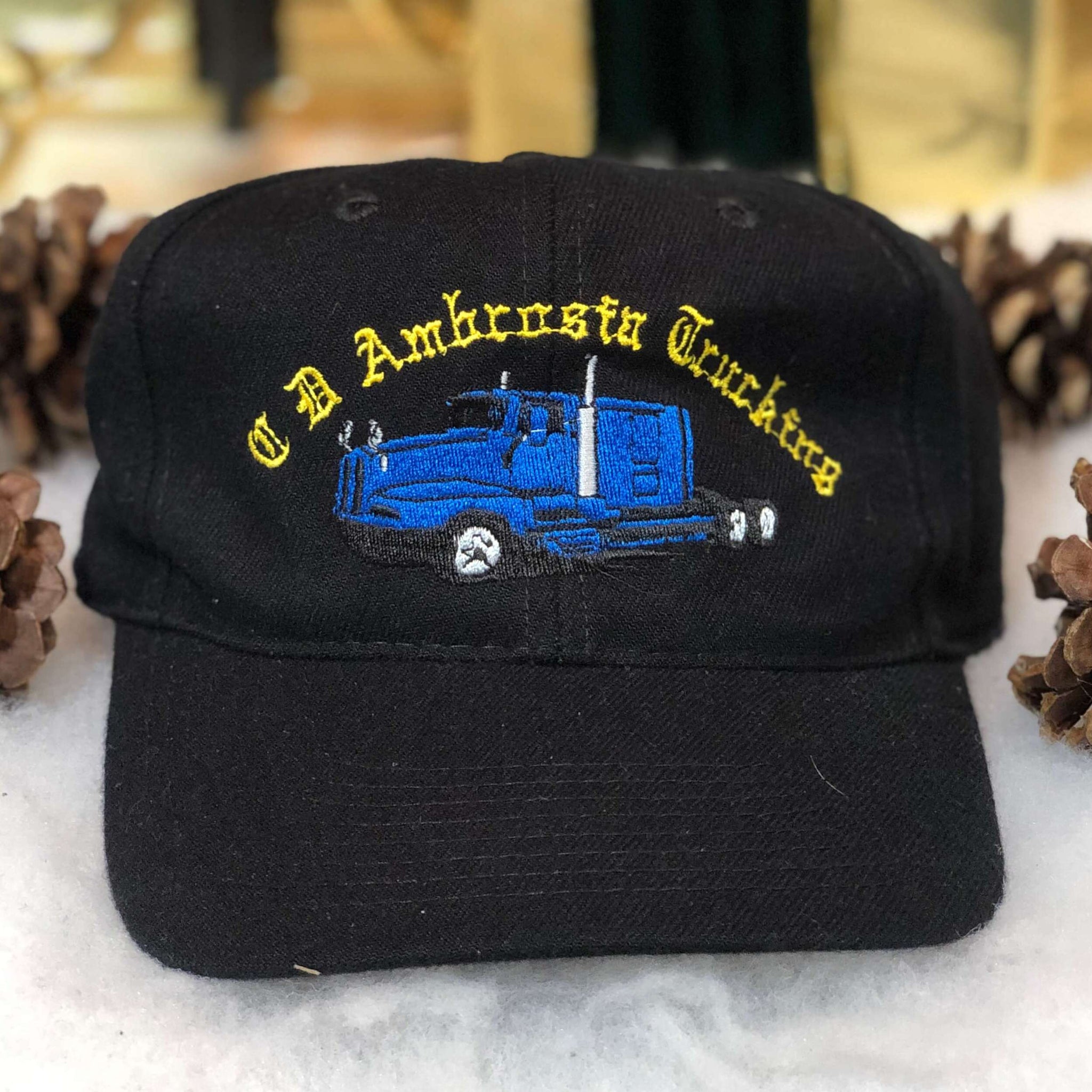 Vintage CD Ambrosia Truckers Pennsylvania Snapback Hat