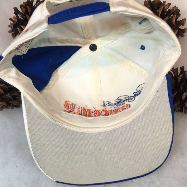 Vintage NASCAR Dale Earnhardt Wheaties Twill Snapback Hat
