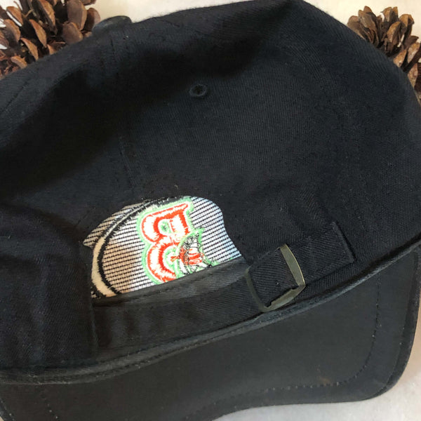 Vintage MiLB Bowie Baysox Twins Enterprise Strapback Hat