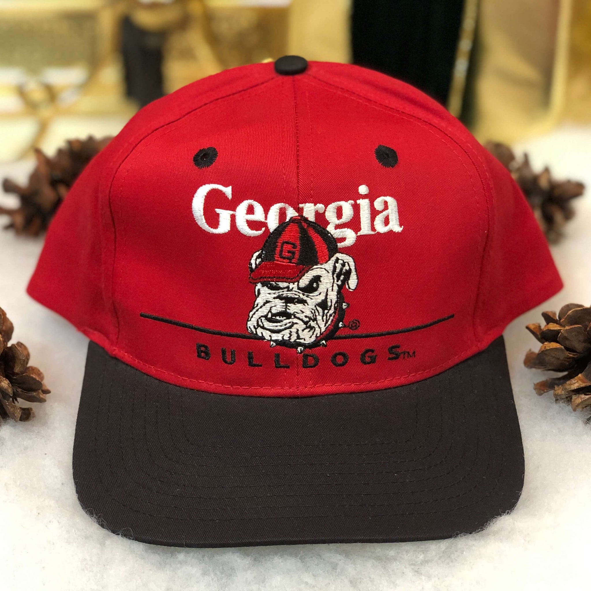 Vintage Deadstock NWT NCAA Georgia Bulldogs Twins Enterprise Bar Line Twill Snapback Hat