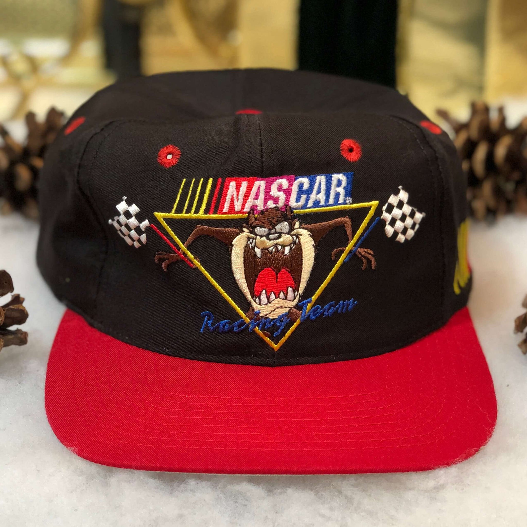 Vintage 1994 NASCAR Taz Racing Team Twill Snapback Hat