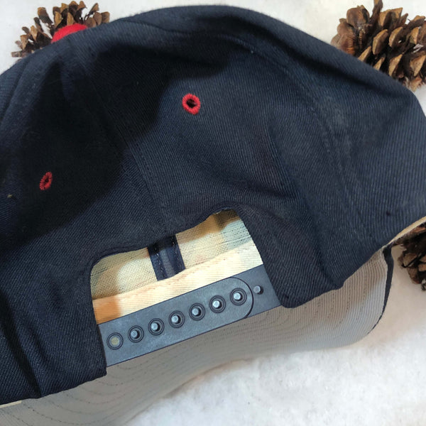 Vintage MiLB Pawtucket Red Sox DeLONG Wool Snapback Hat