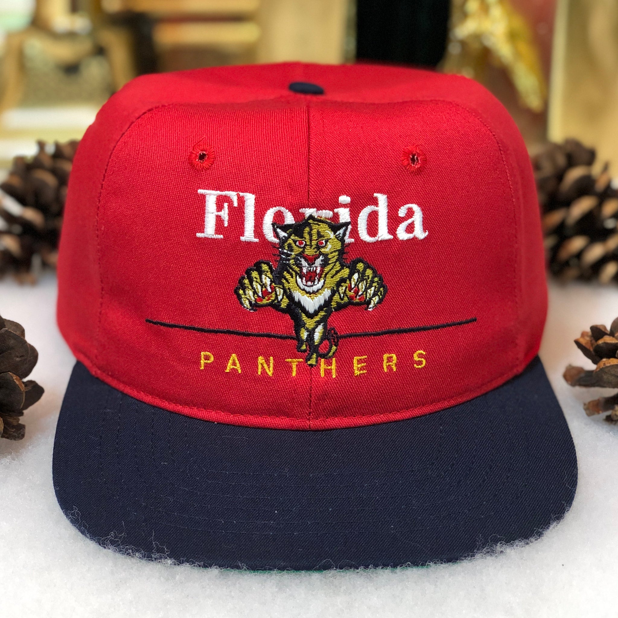 Vintage NHL Florida Panthers Twins Enterprise Snapback Hat