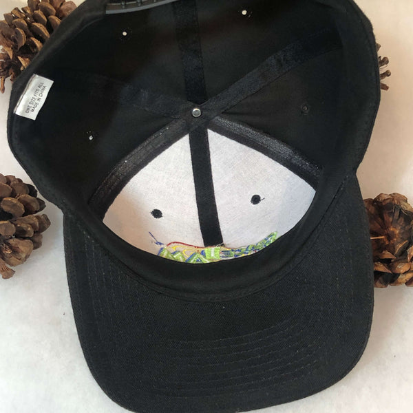 Vintage 1996 Space Jam Movie Snapback Hat