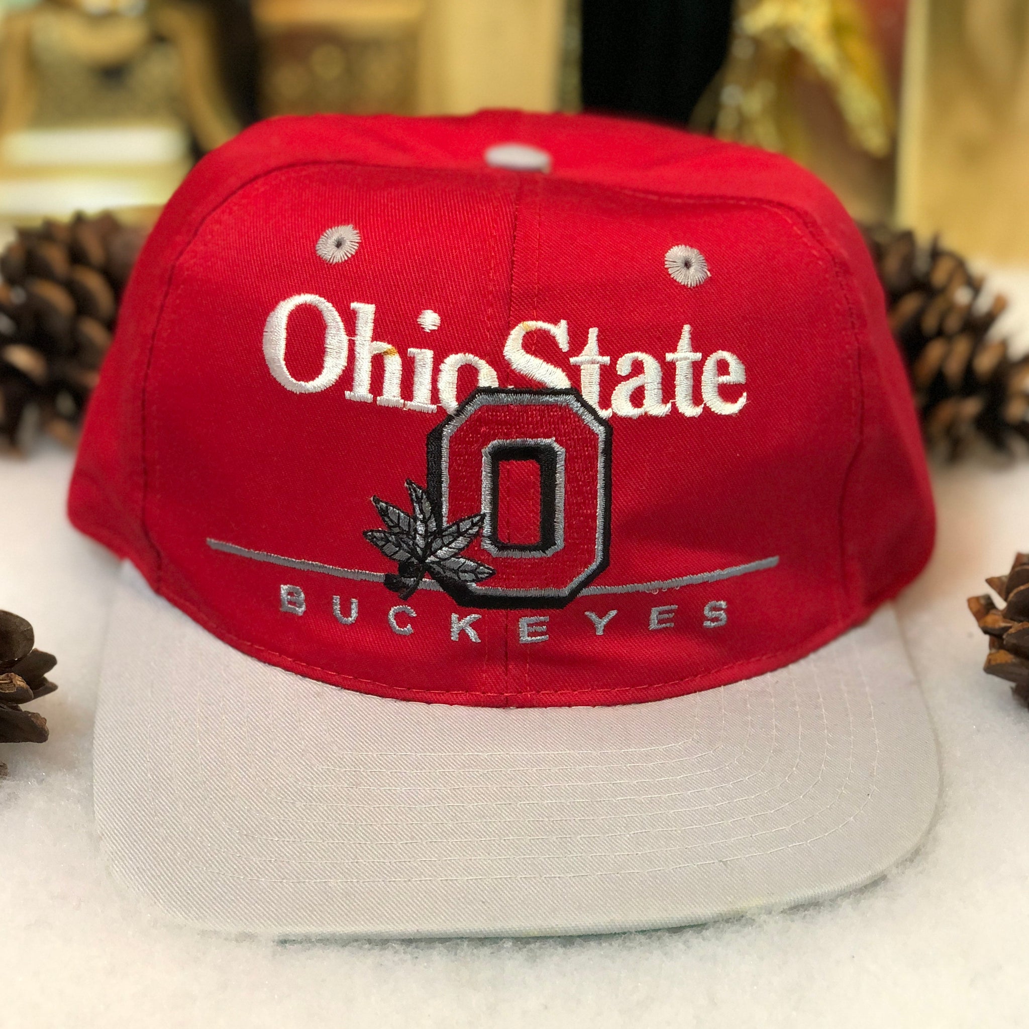Vintage NCAA Ohio State Buckeyes Twins Enterprise Bar Line Snapback Hat